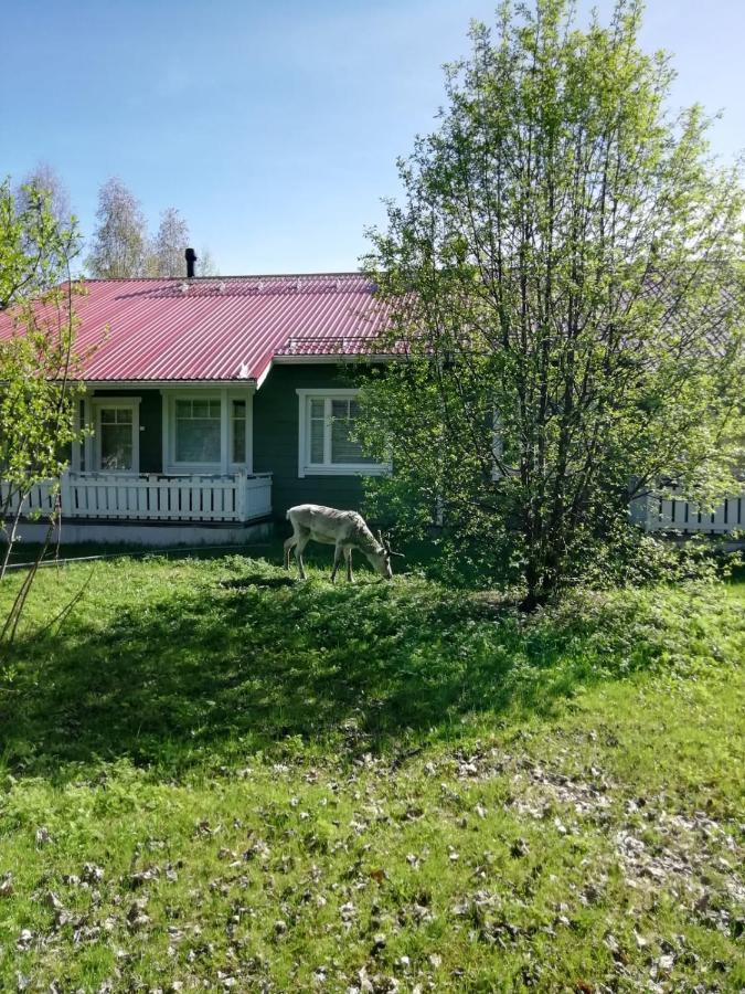 Ounasvaara Sport Cottages Rovaniemi Esterno foto